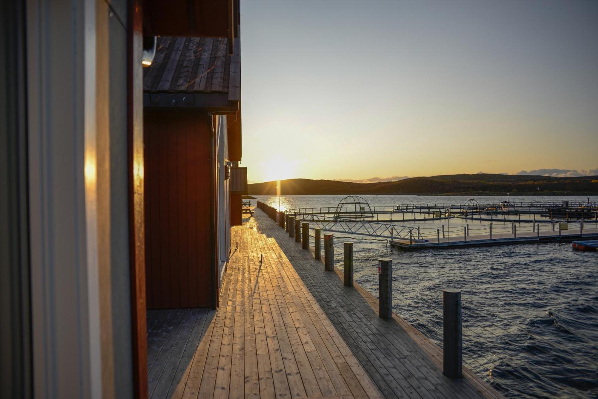 Hotel Norsk Havbrukssenter - Rorbuer Bronnoysund Esterno foto